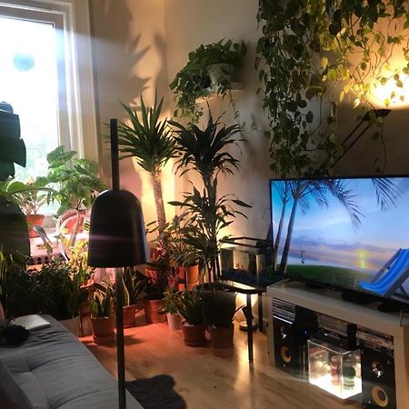 شقة نيو يورك  في Urban Jungle Oasis In Queens! المظهر الخارجي الصورة