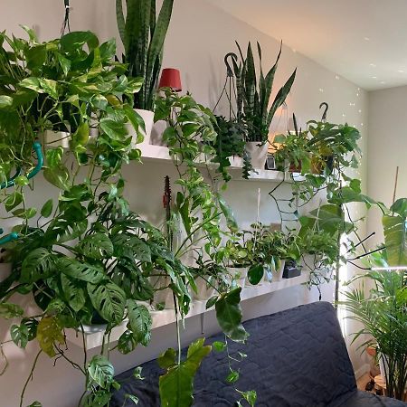 شقة نيو يورك  في Urban Jungle Oasis In Queens! المظهر الخارجي الصورة