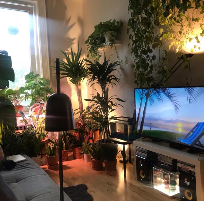 شقة نيو يورك  في Urban Jungle Oasis In Queens! المظهر الخارجي الصورة