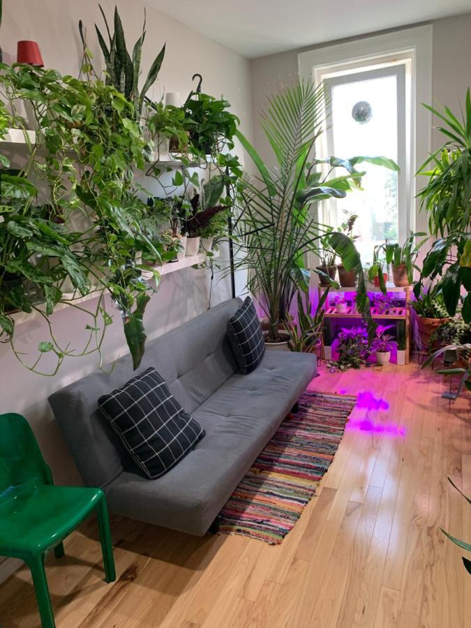 شقة نيو يورك  في Urban Jungle Oasis In Queens! المظهر الخارجي الصورة