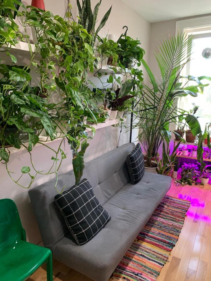 شقة نيو يورك  في Urban Jungle Oasis In Queens! المظهر الخارجي الصورة
