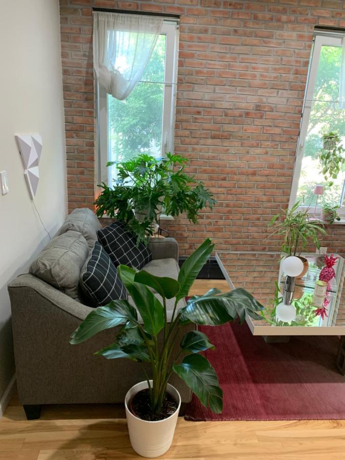 شقة نيو يورك  في Urban Jungle Oasis In Queens! المظهر الخارجي الصورة