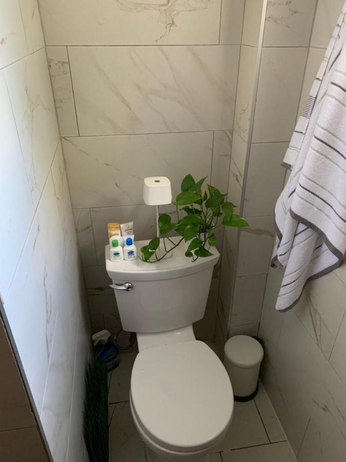 شقة نيو يورك  في Urban Jungle Oasis In Queens! المظهر الخارجي الصورة
