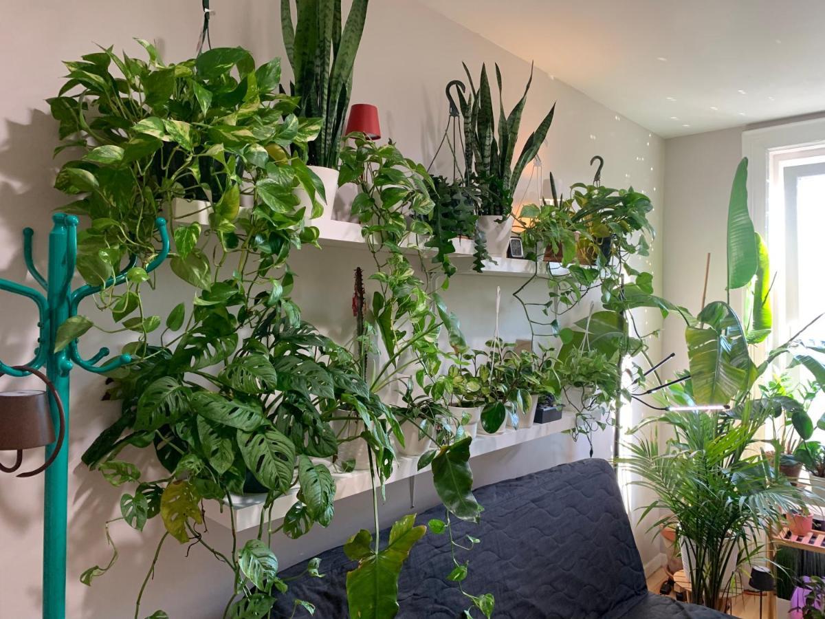 شقة نيو يورك  في Urban Jungle Oasis In Queens! المظهر الخارجي الصورة