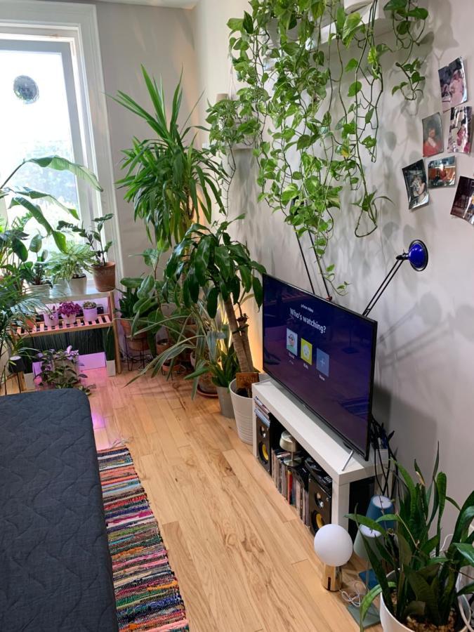 شقة نيو يورك  في Urban Jungle Oasis In Queens! المظهر الخارجي الصورة